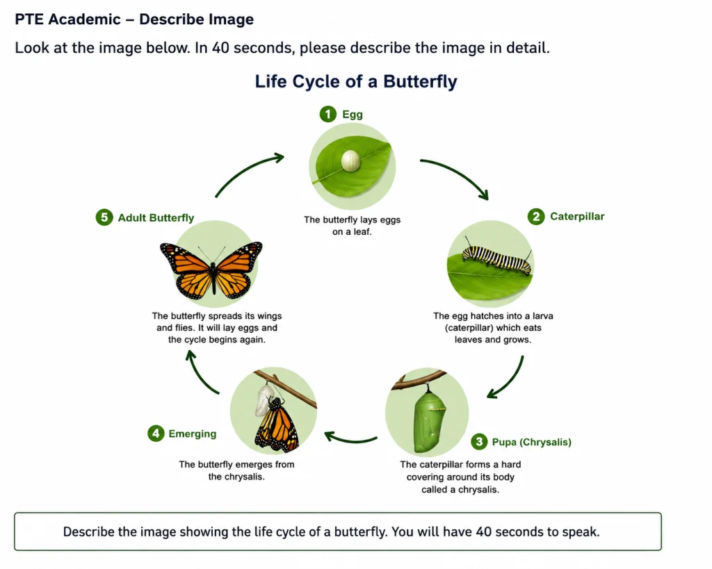 PTE Describe Image process template